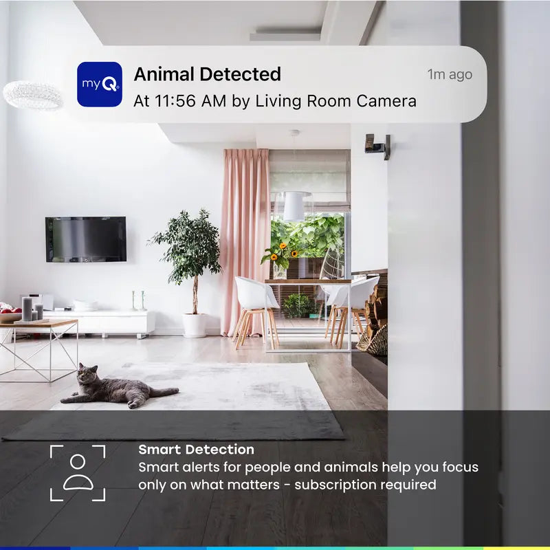 myQ Smart Indoor-Kamera: Nachtsicht &amp; Bewegungserkennung 